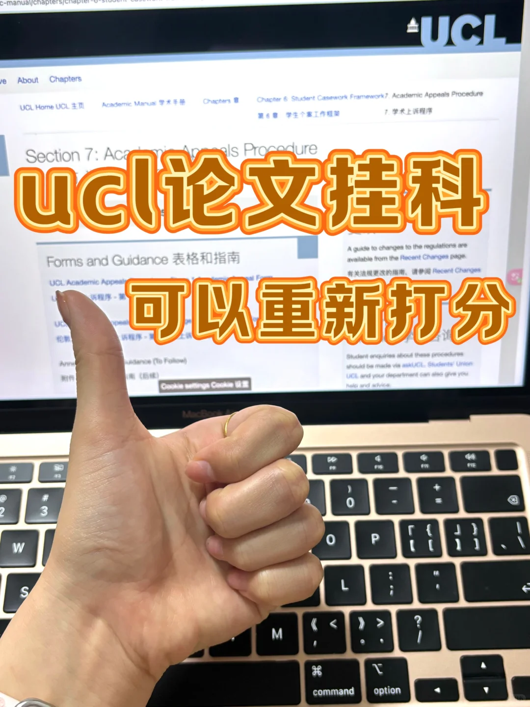 ucl论文remark搞定!我的72分 拿来吧你! · 内容配图 2