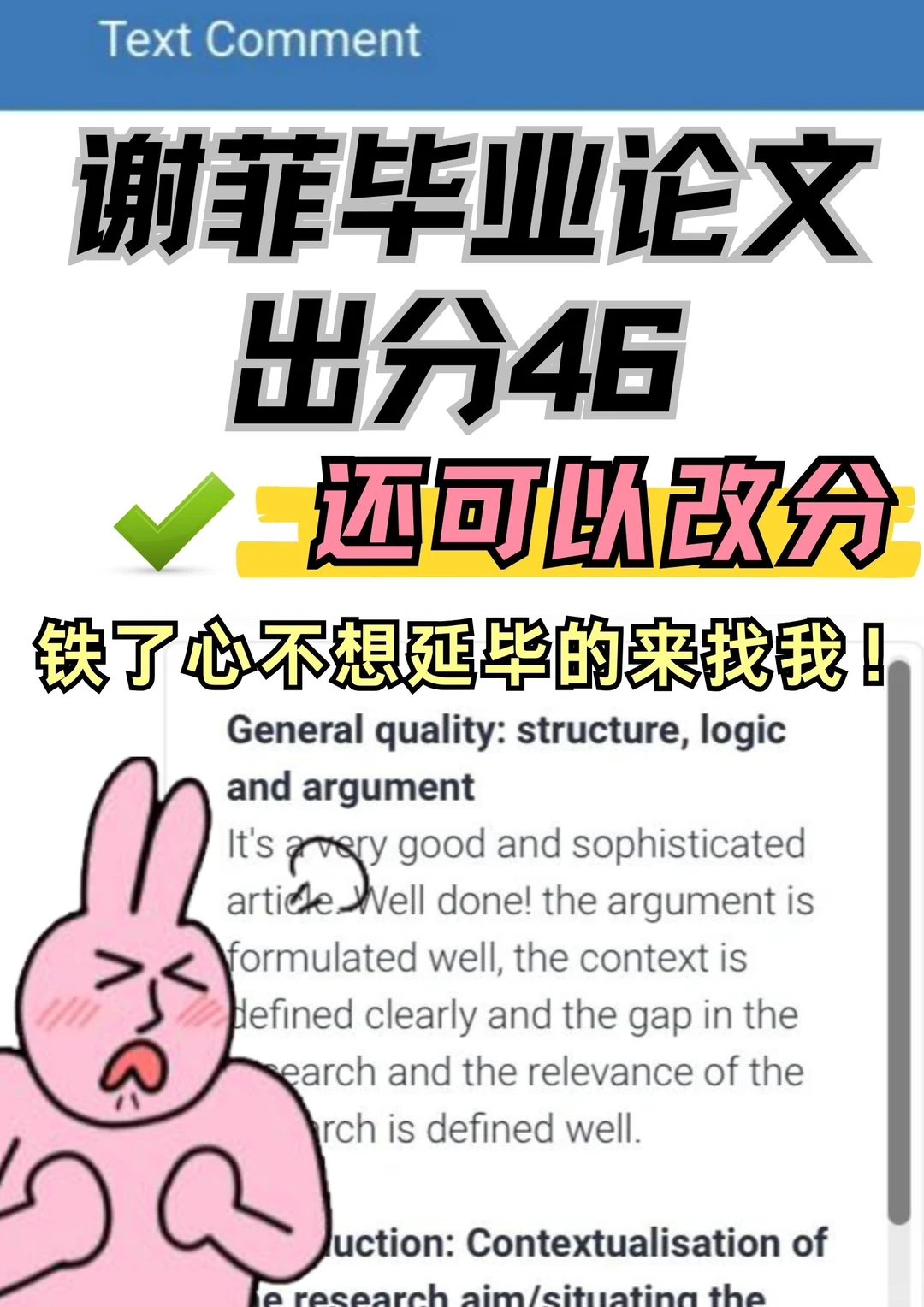 谢菲管理硕士毕业论文46不想延毕咋办啊! · 封面