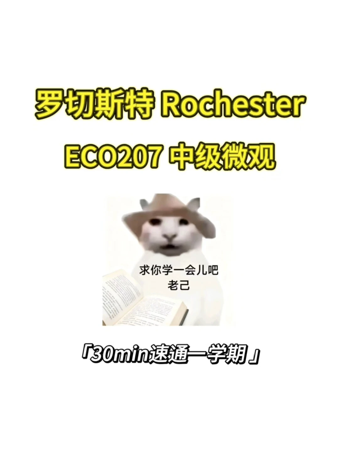 Rochester 线下final如何拿高分❓ · 内容配图 1