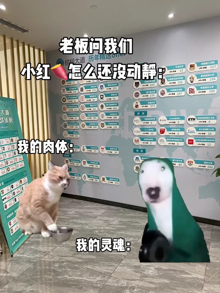 一键丝滑把你送进哈耶普斯麻牛剑的留学中介 · 内容配图 1