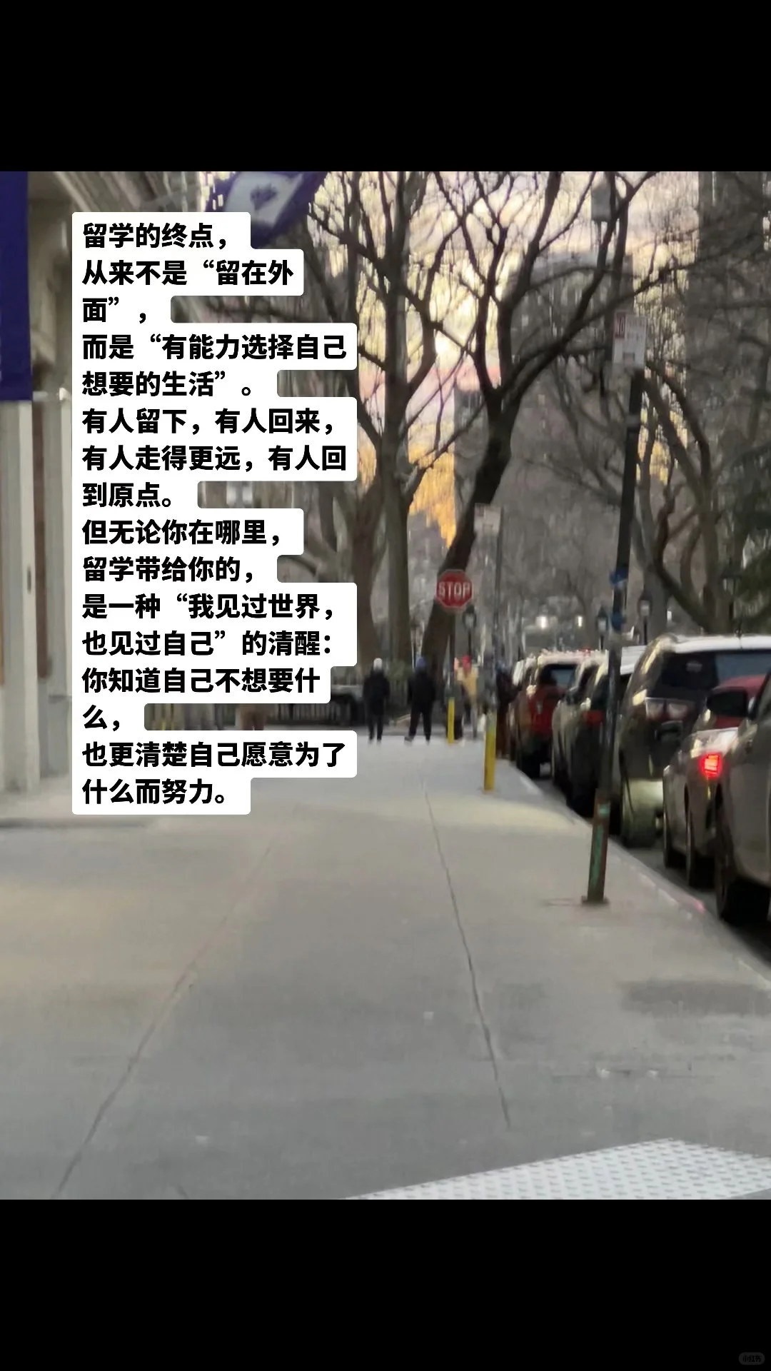 留学的“终点”是有能力选择自己想要的生活 · 封面