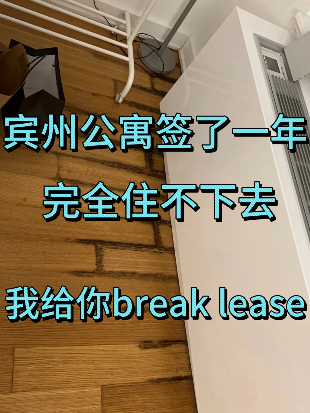 北美租约一年,住不下去也有路 · 内容配图 1