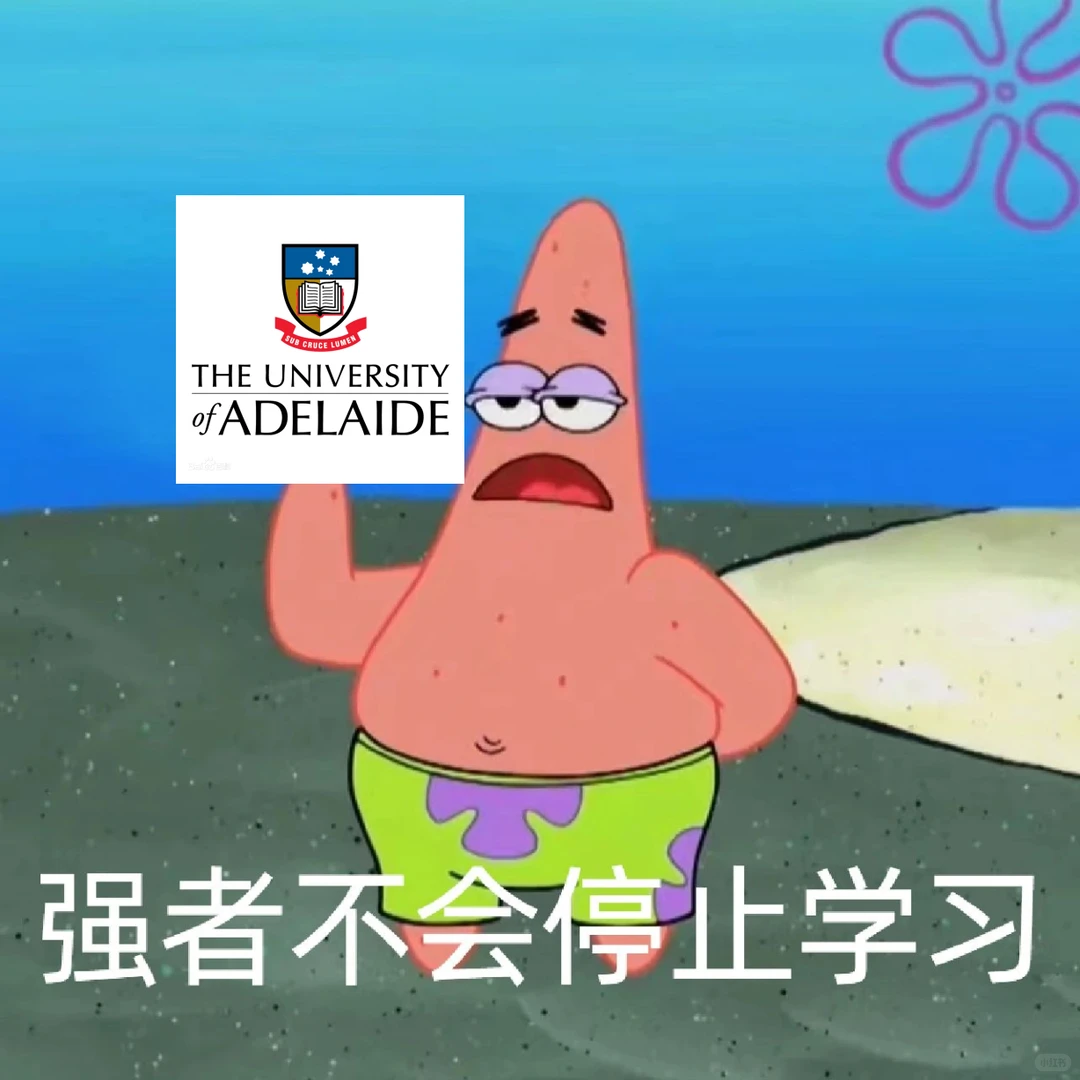 蕞适合澳洲本科生挂科解决办法！！ · 内容配图 1