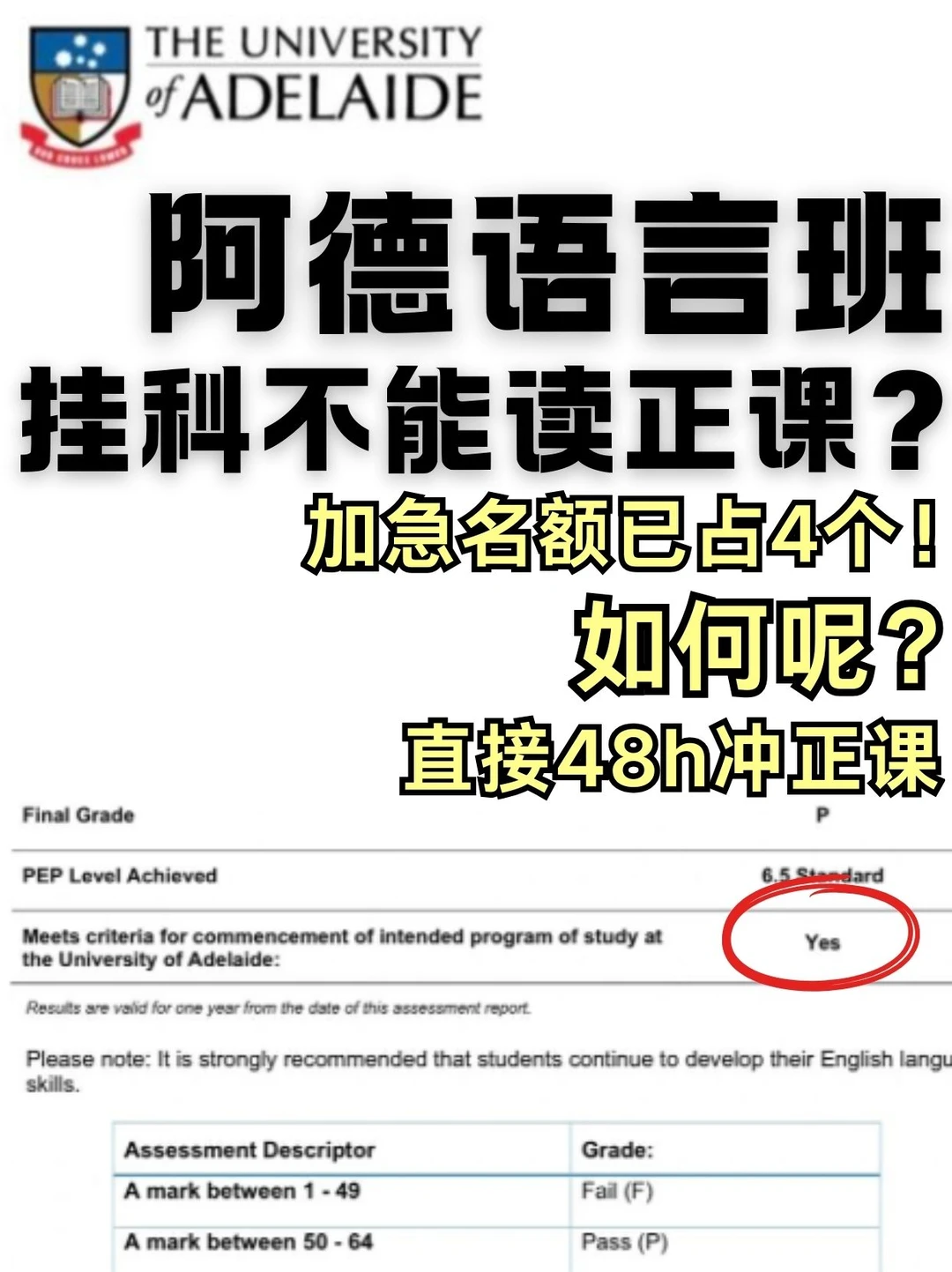 阿德你。。麻绳专挑细处断,把我挂了啥意思 · 内容配图 2