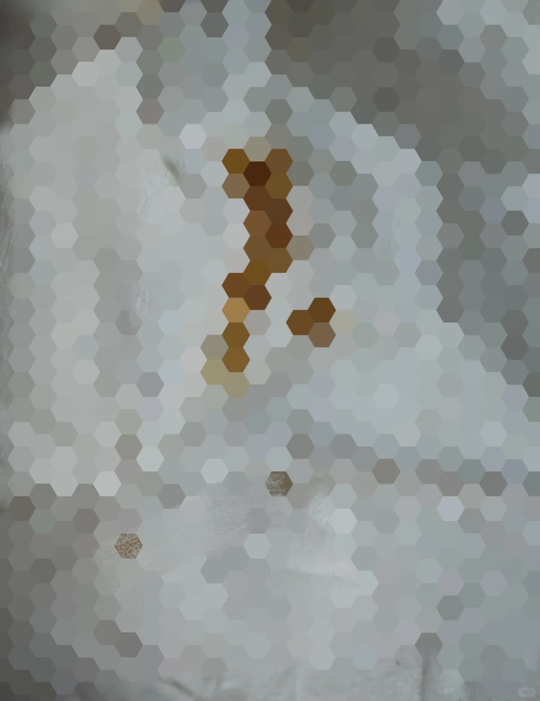 放在小说里是会被质疑离谱的程度,一位学生在vita刚入住一周,在房间里发现了一群活着的苍蝇幼崽(图已厚马… · 内容配图 4