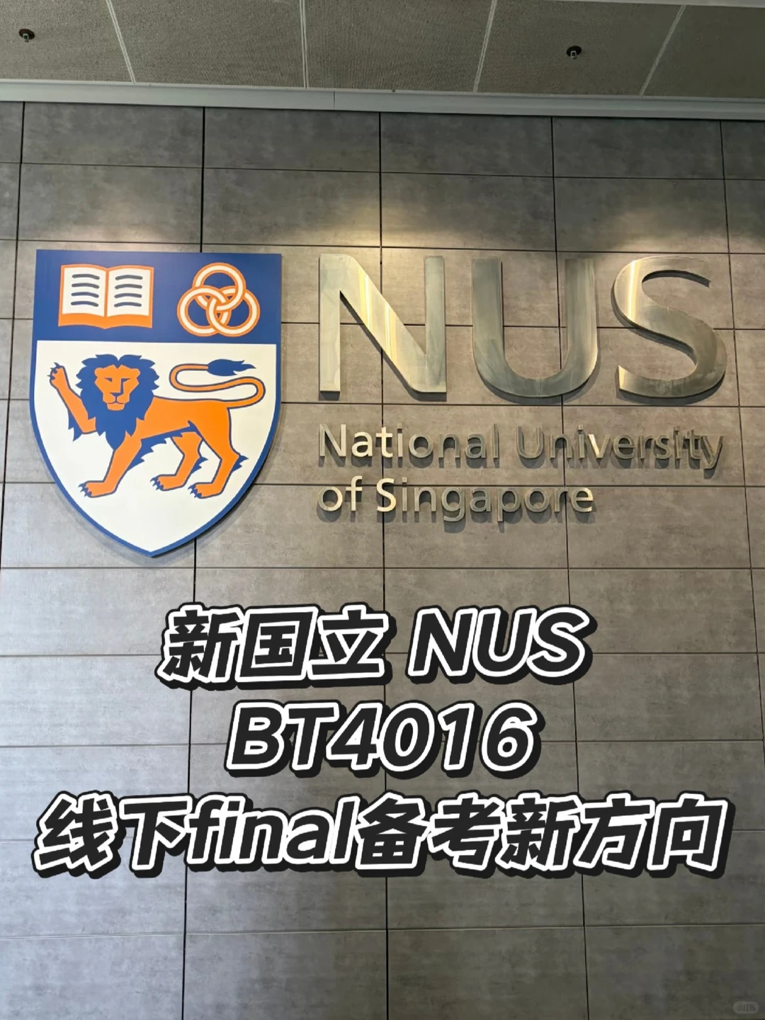 新国立 BT4016 线下final备考新方向来啦 · 内容配图 1