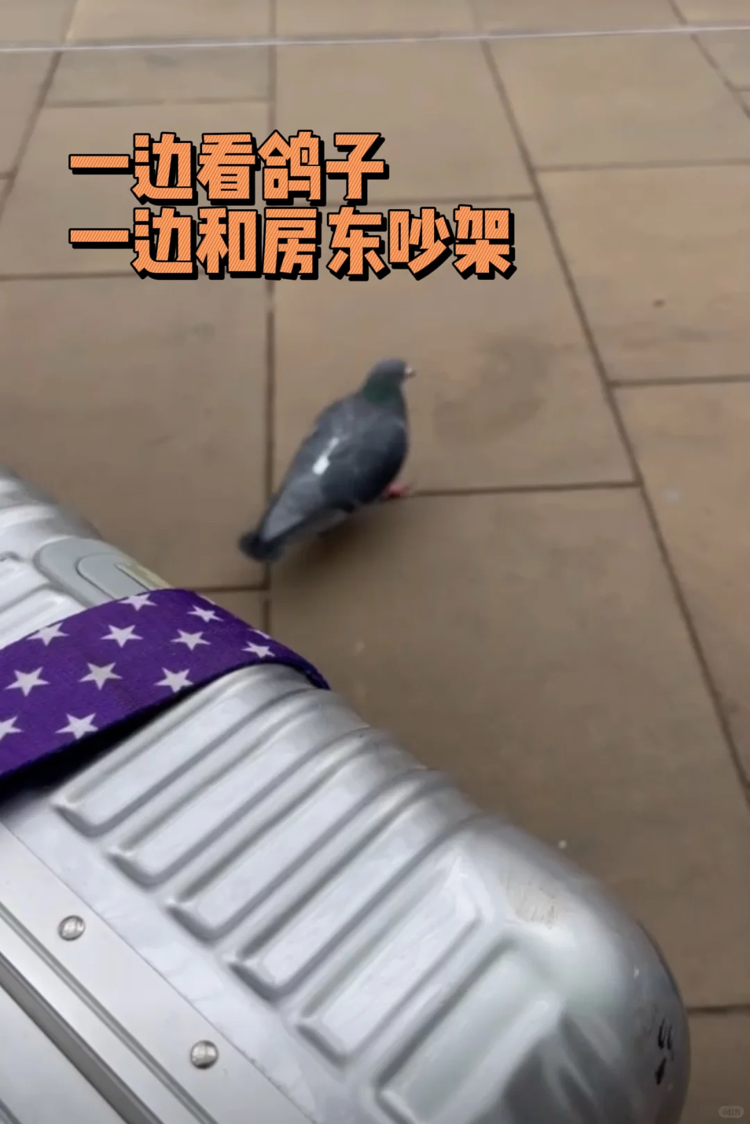 元旦遭华人房东驱逐?!一招维权拿回押金😡 · 内容配图 2