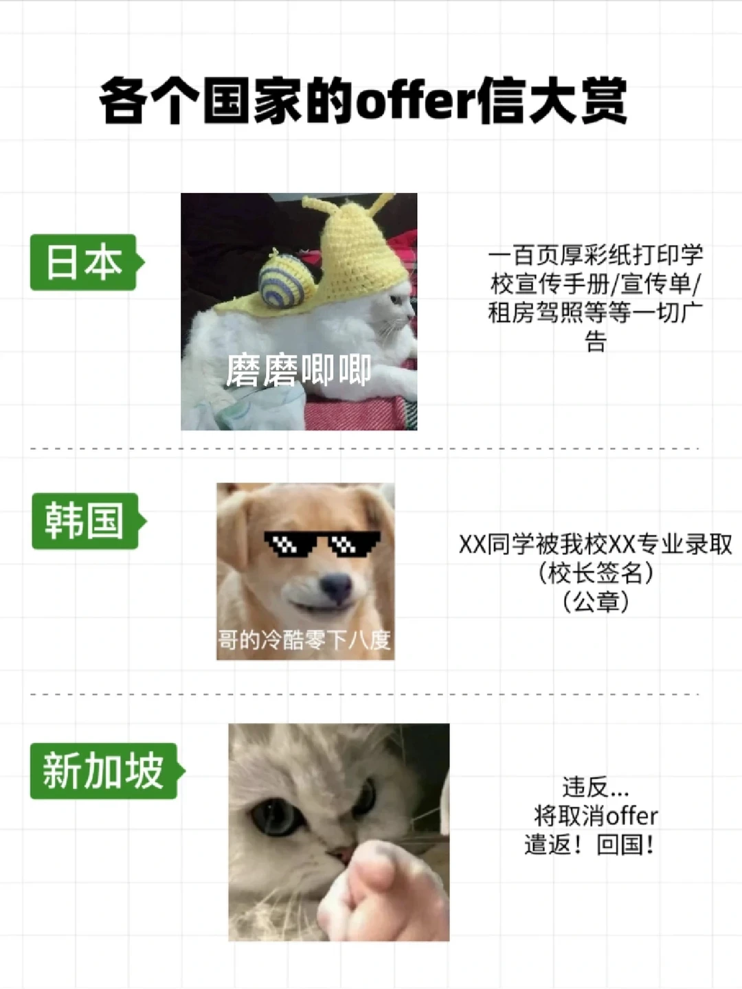 各个国家offer大赏！笑不活了哈哈哈哈哈 · 内容配图 3