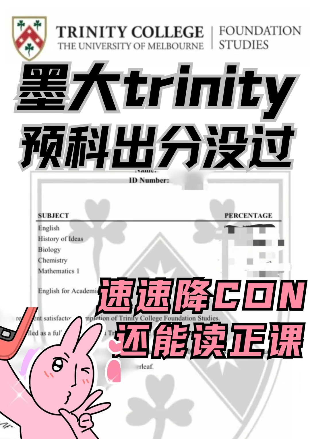 Trinity没过先算哪条路能走 · 封面