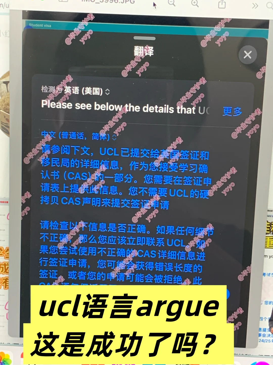 ucl语言argue！末班车又捞5个～想要uncon的来 · 封面