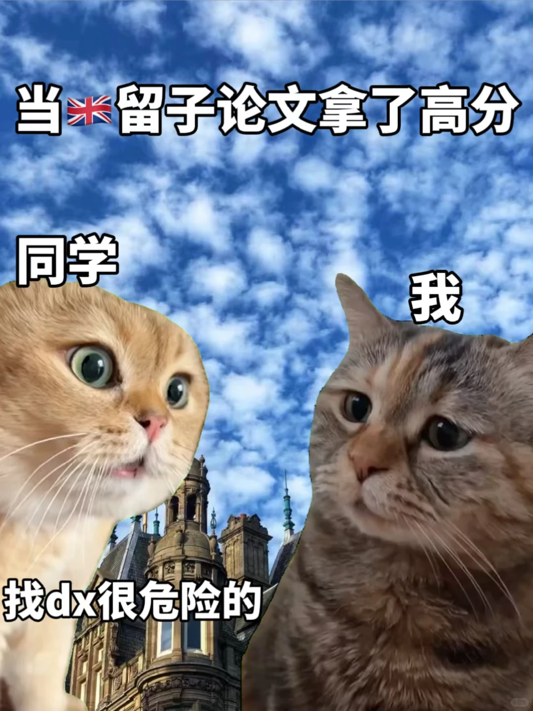 🇬🇧论文80+原来也不难! · 内容配图 2