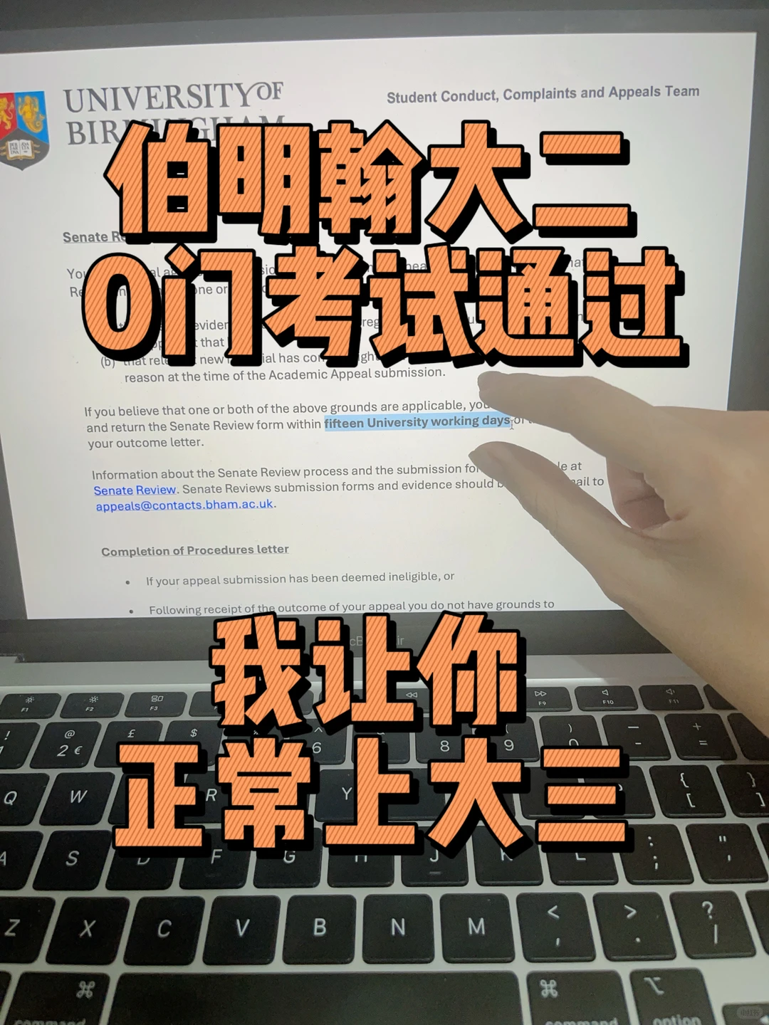 伯明翰大二全挂,小作文打不动流程 · 封面
