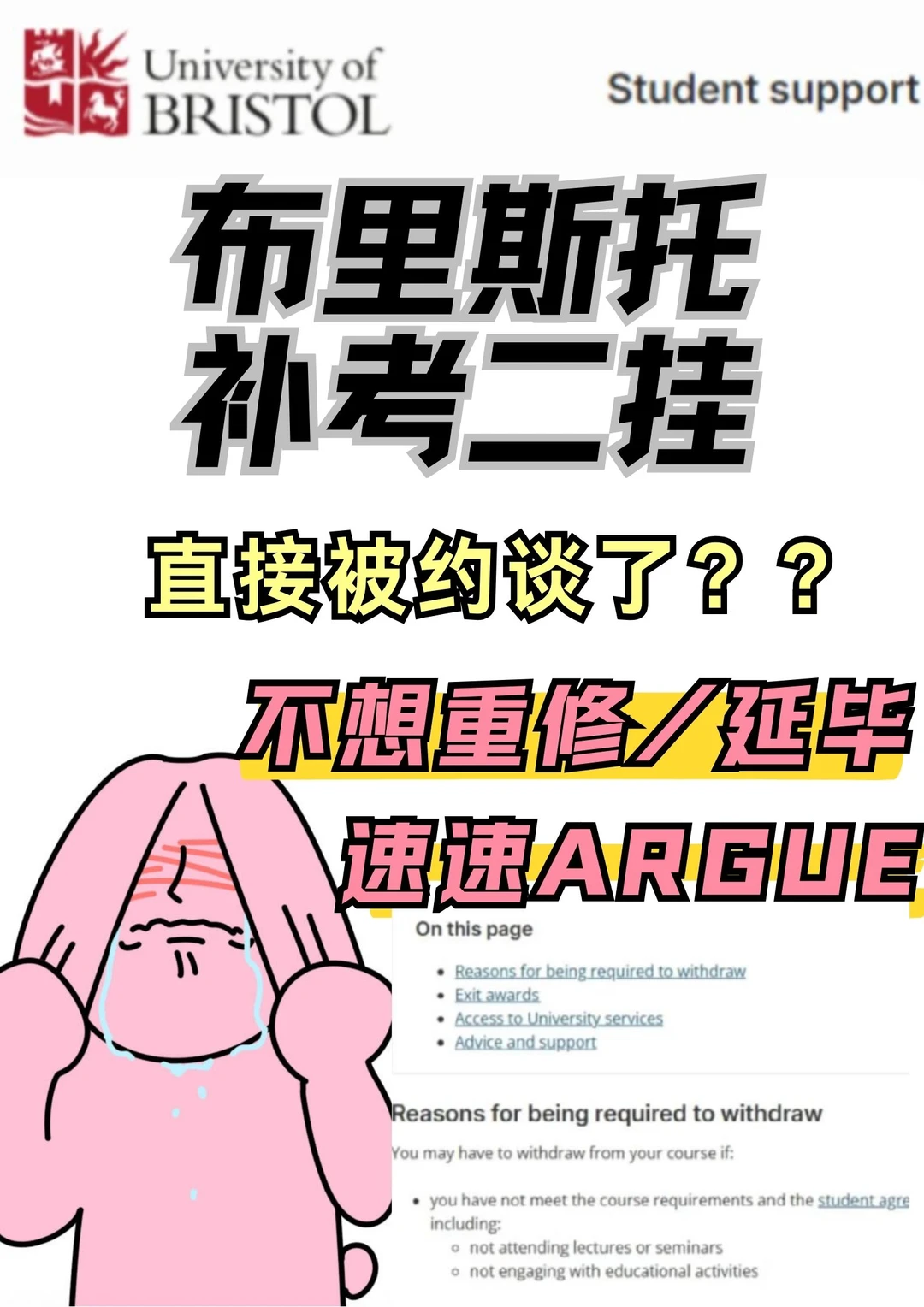 布里斯托二挂meeting,学校已经动手 · 封面