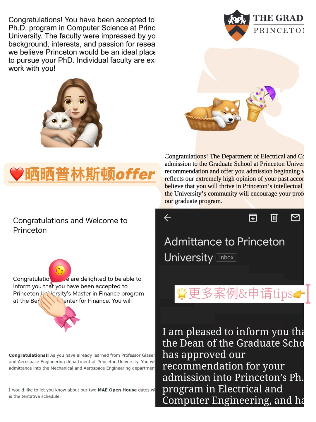听说在申普林斯顿这个赛道没有人能赢过我们 · 内容配图 2