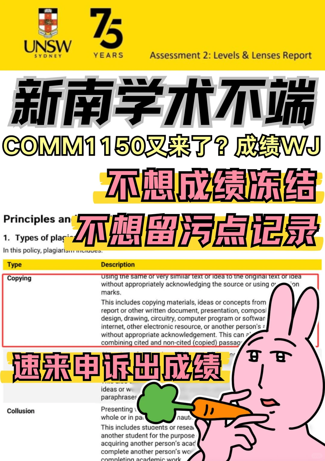COMM1150指控会拖住毕业签证 · 内容配图 2