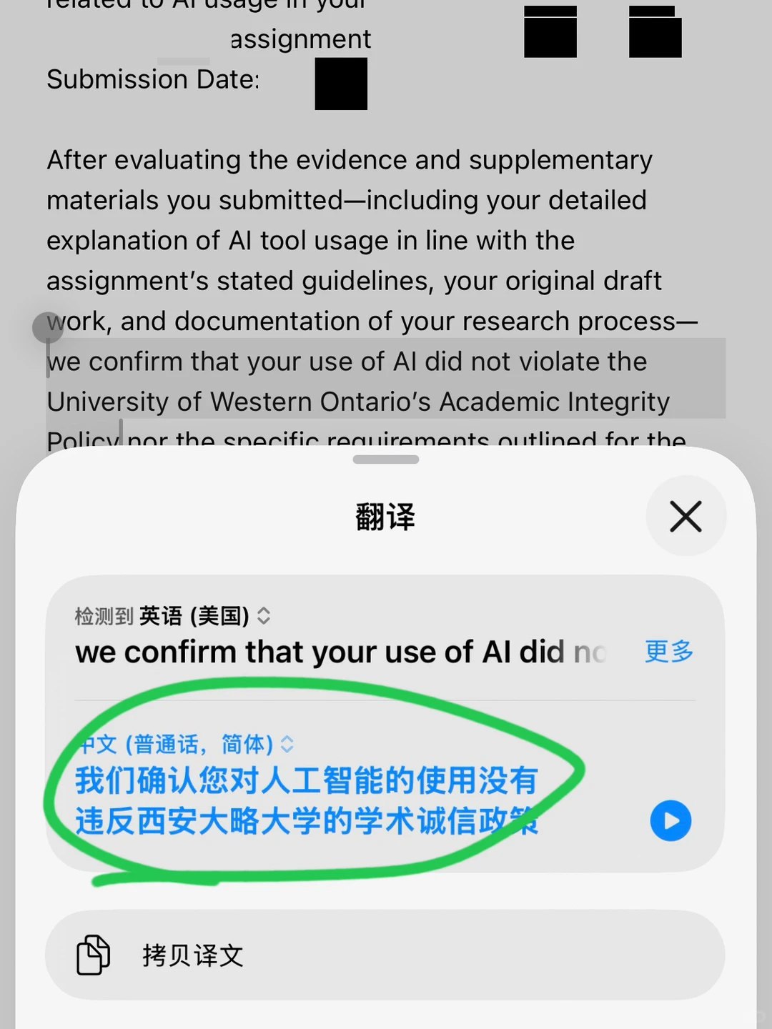UWO学术不端meeting通关秘籍🧠去了真能撤控？ · 内容配图 2
