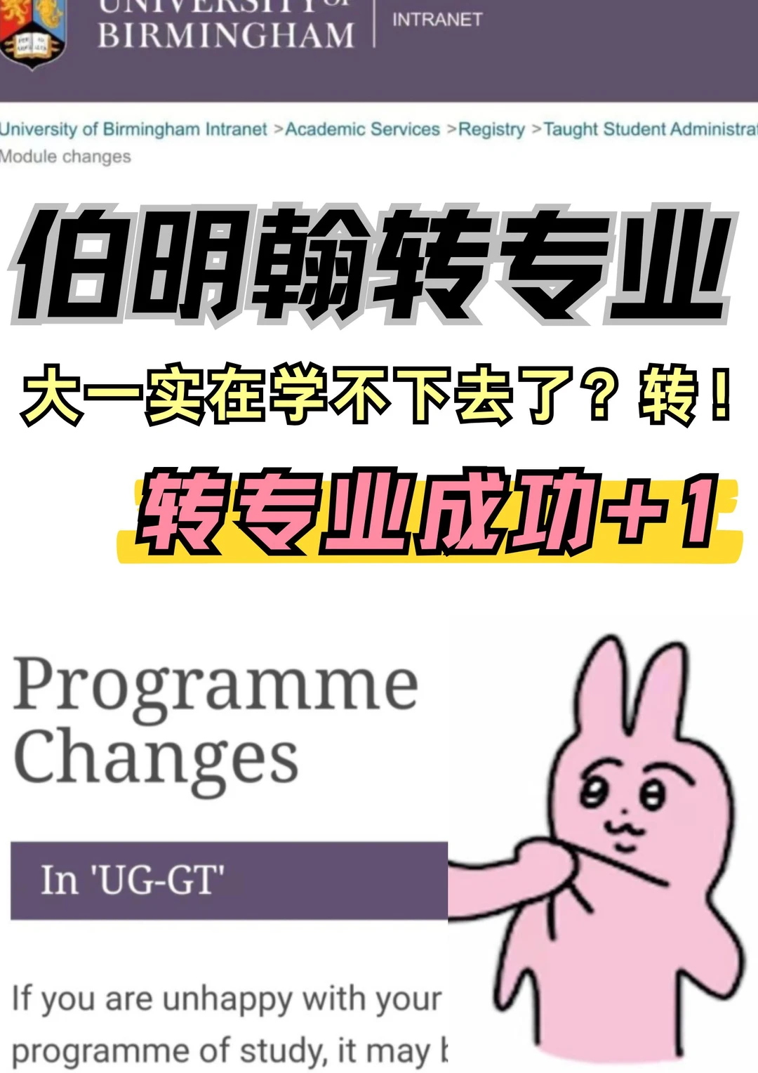 伯明翰大一学不下去了来转专业成功咯！ · 封面