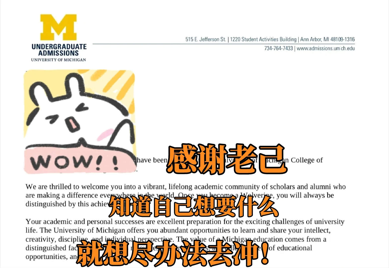 UMich defer卡在人味不足 · 内容配图 2