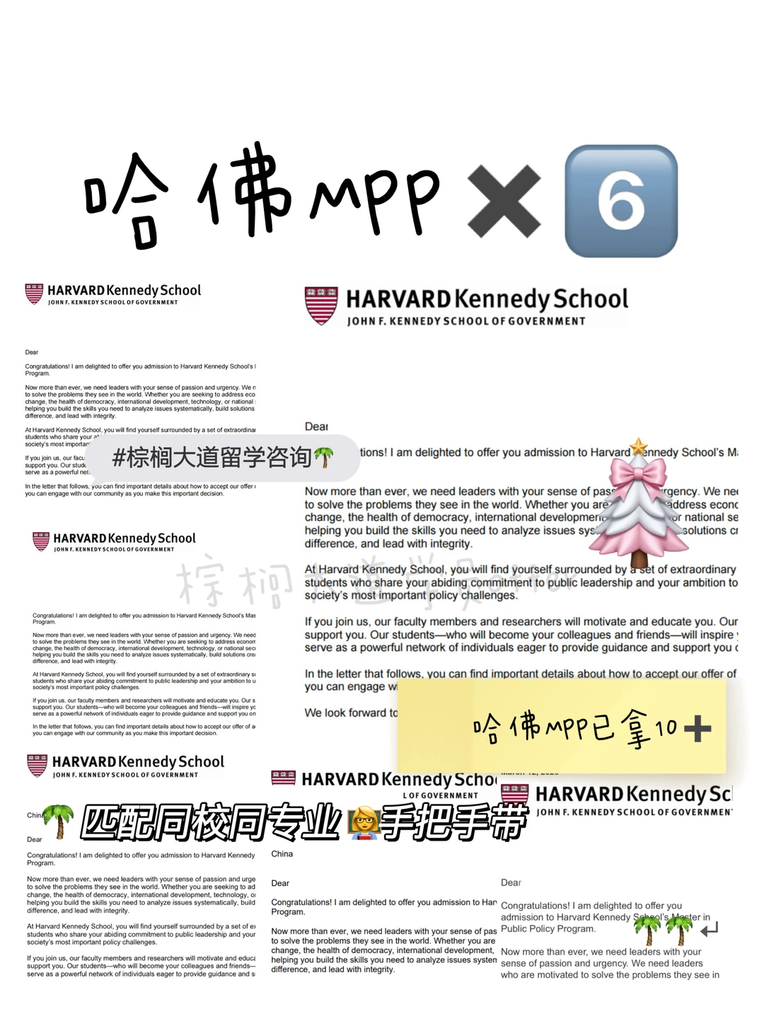哈佛MPP,模板申请最露怯 · 内容配图 1