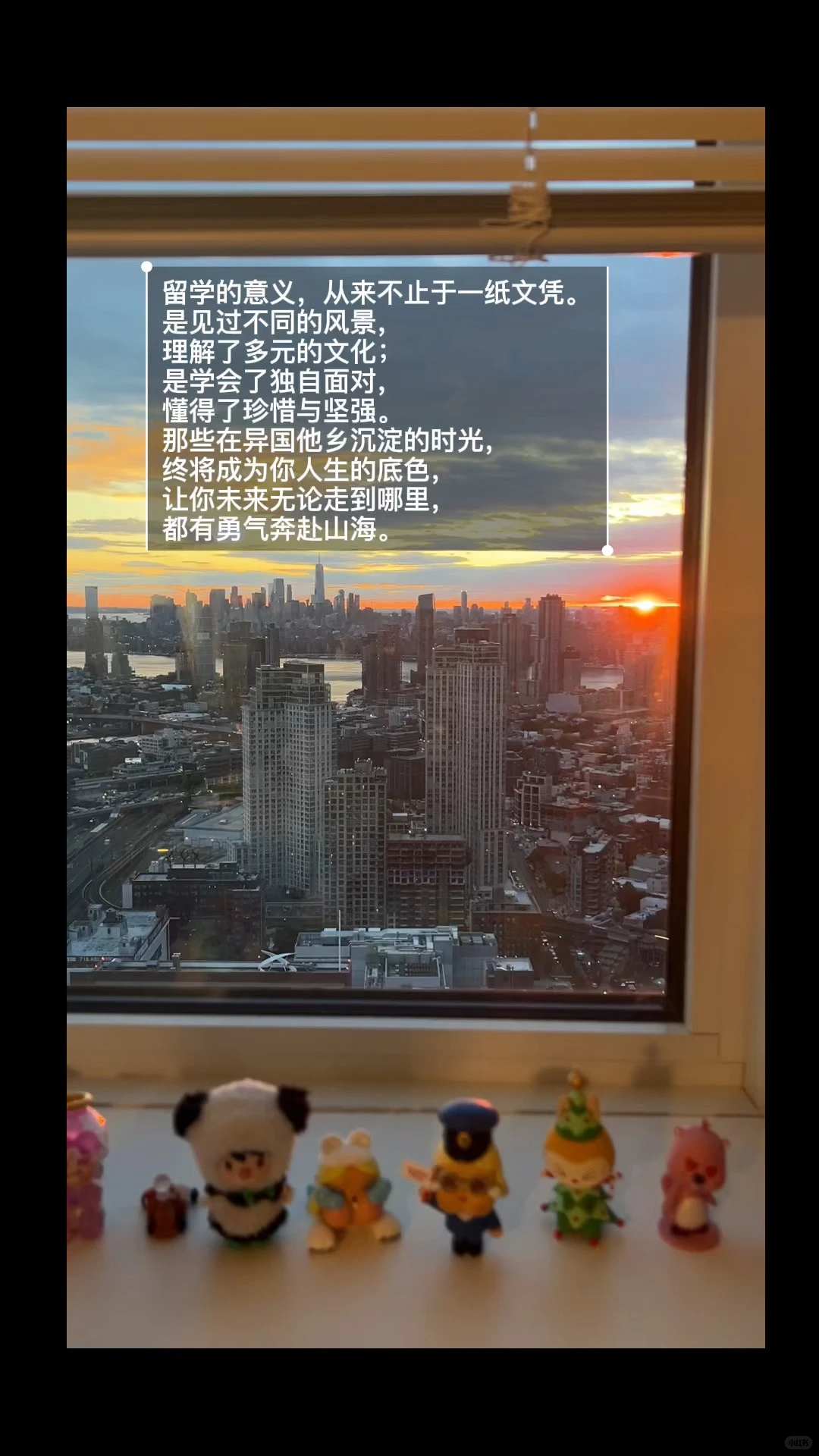 留学的意义从来不是一纸文书 · 内容配图 1