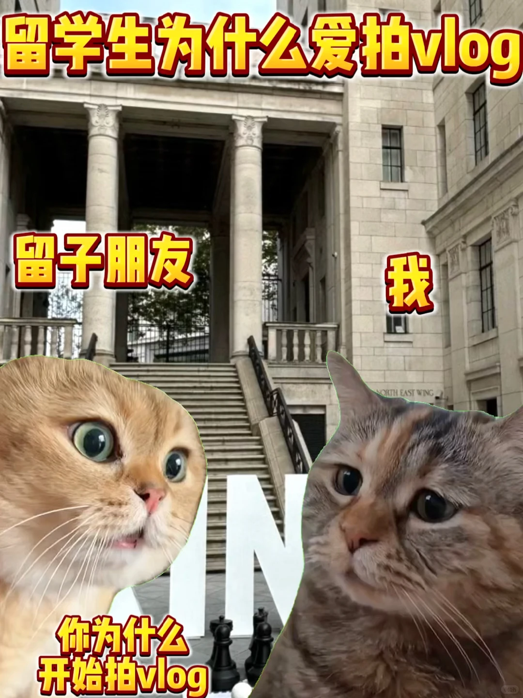 留学生为什么爱拍vlog？ · 内容配图 2