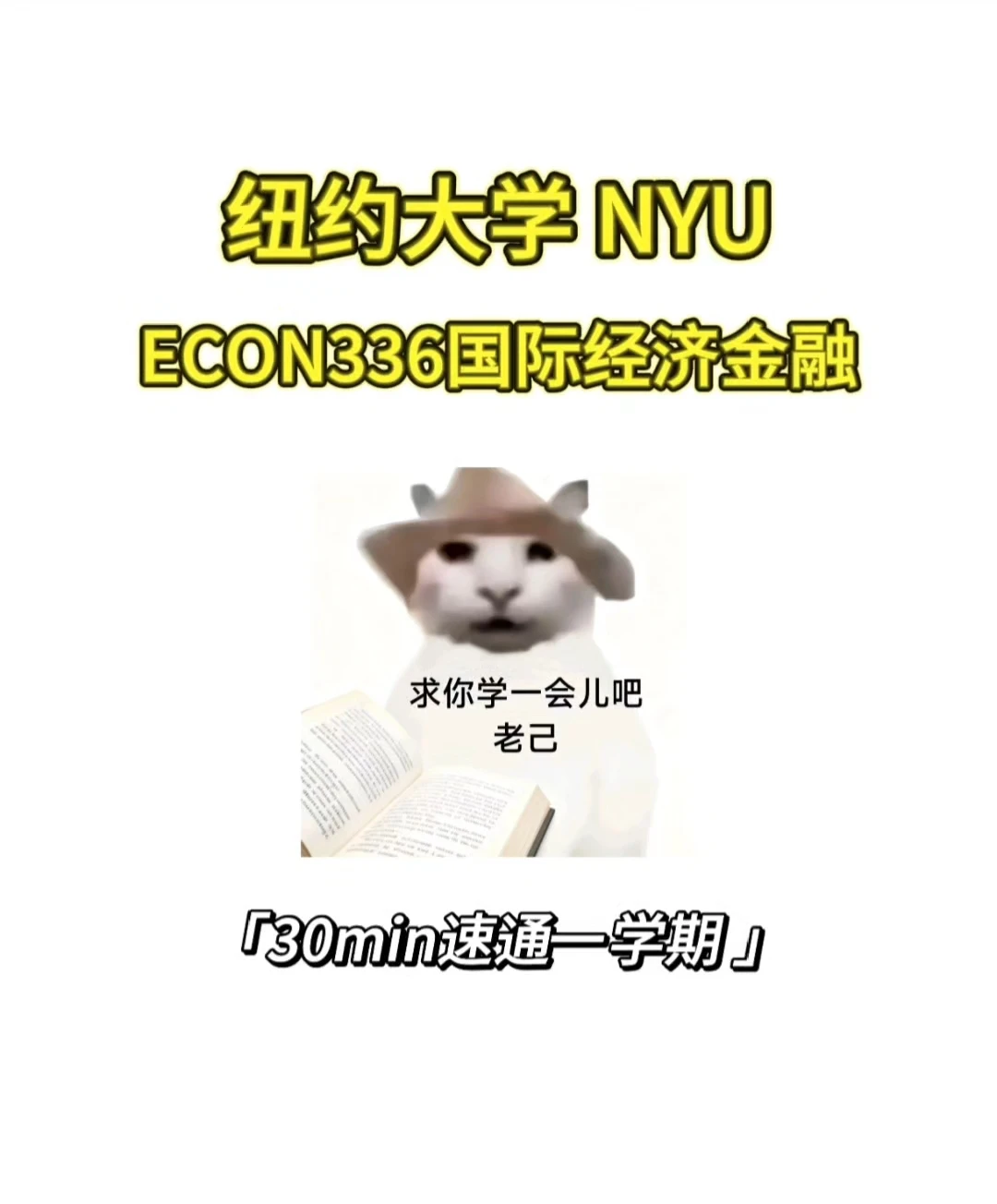 NYU ECON336国际金融线下final如何拿高分❓ · 内容配图 1