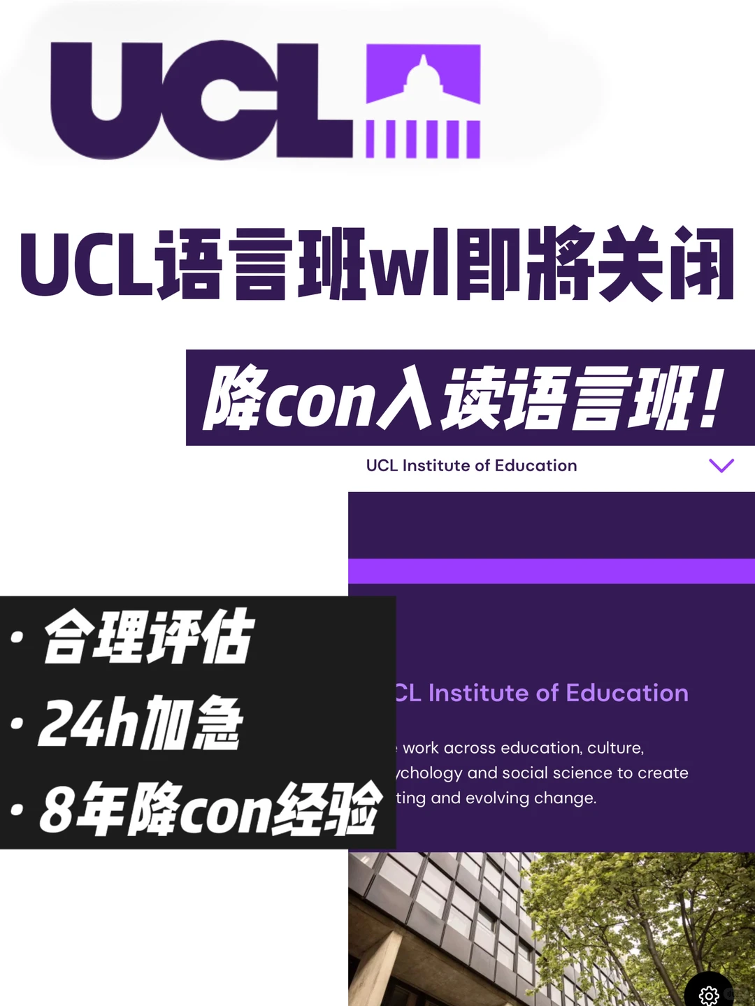 UCL语言班wl即将关闭! 加急降con成功入读 · 内容配图 2