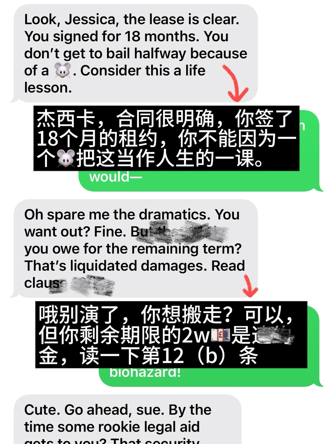 Massachusetts公寓有🐭，退租换房一分没赔😃 · 封面