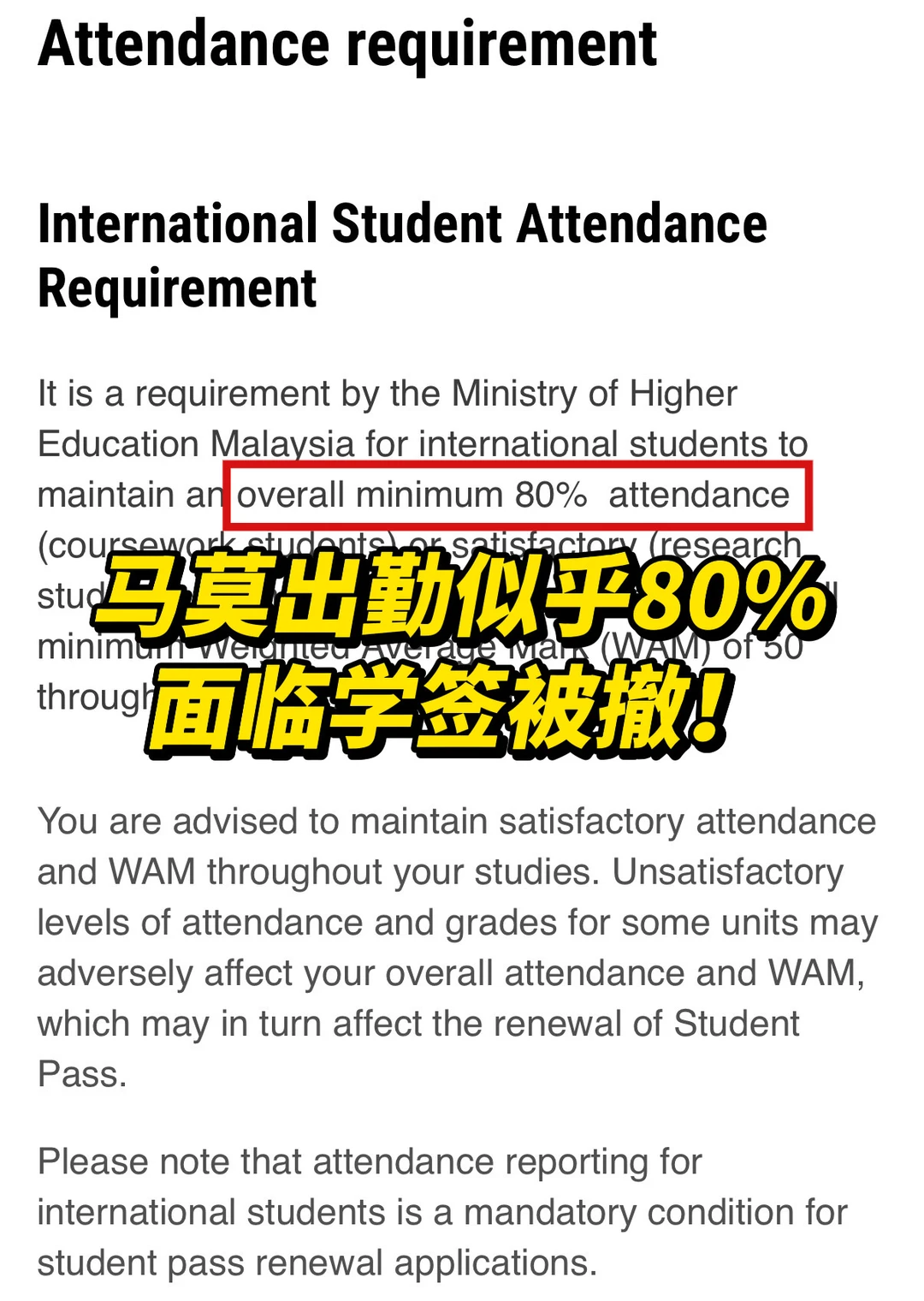 马莫出勤率低真不是开玩笑的! · 封面