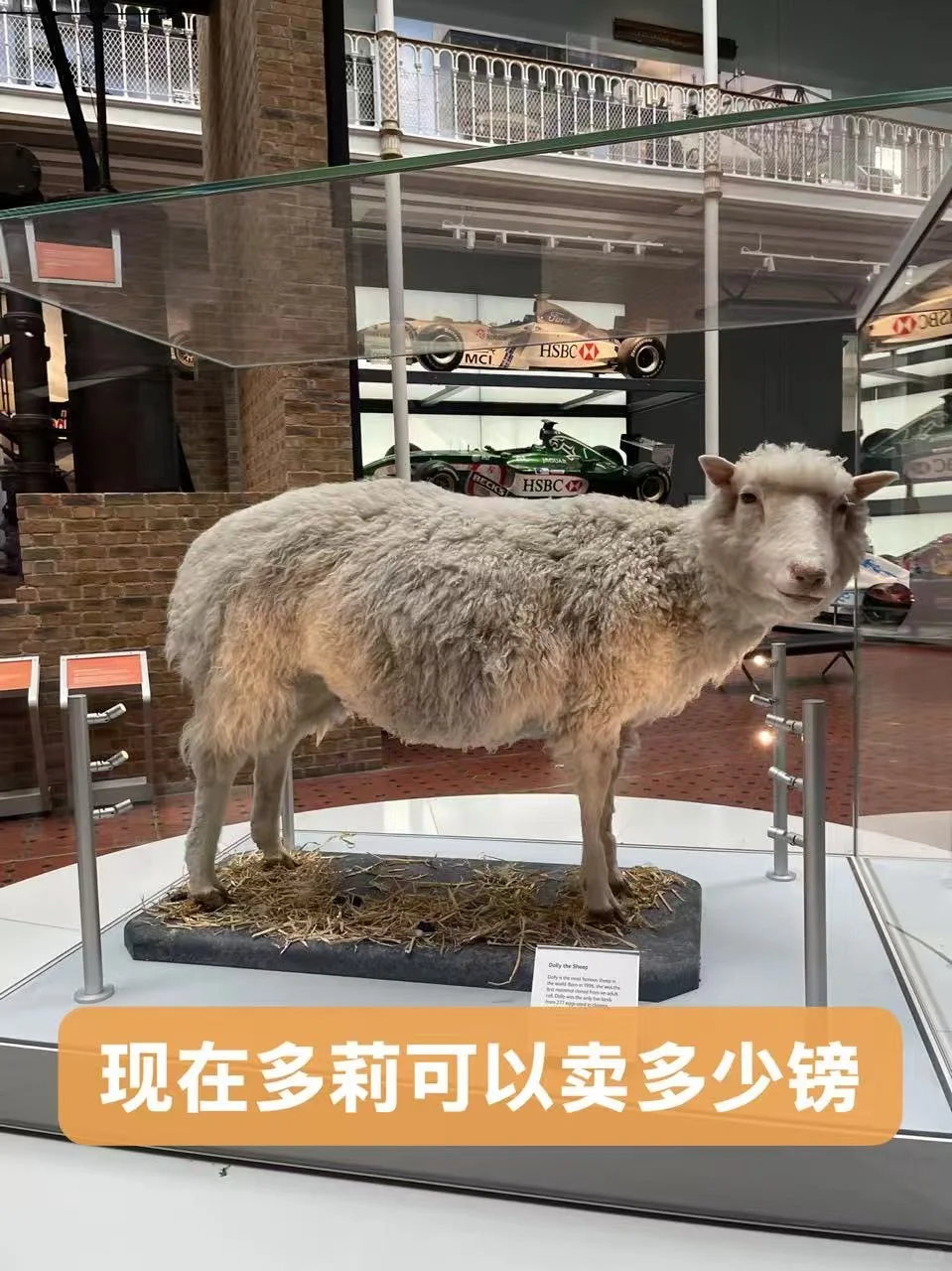 多莉若上拍,卖的会是科学史 · 内容配图 2