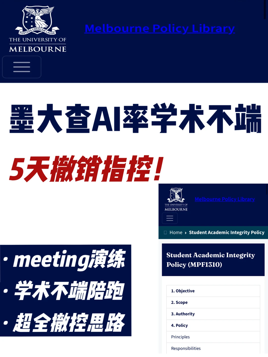 🇦🇺墨大学术不端 Turnitin算法误判也能撤! · 内容配图 2