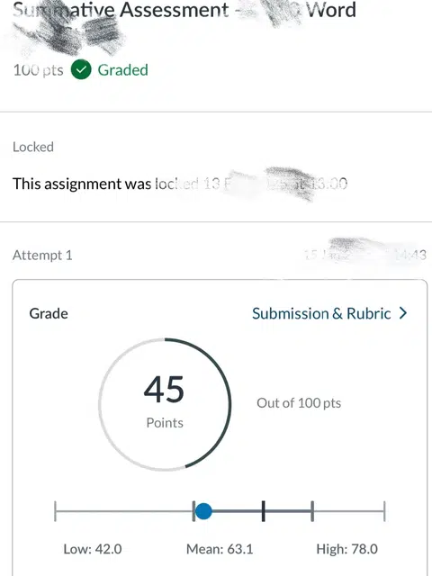 伯明翰商科必修fail拖垮degree · 封面