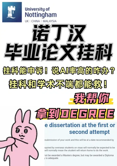 诺丁汉毕业论文出问题拿不到degree？我来 · 内容配图 1