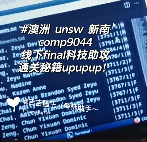 unsw 新南comp9044线下final科技助 · 内容配图 1