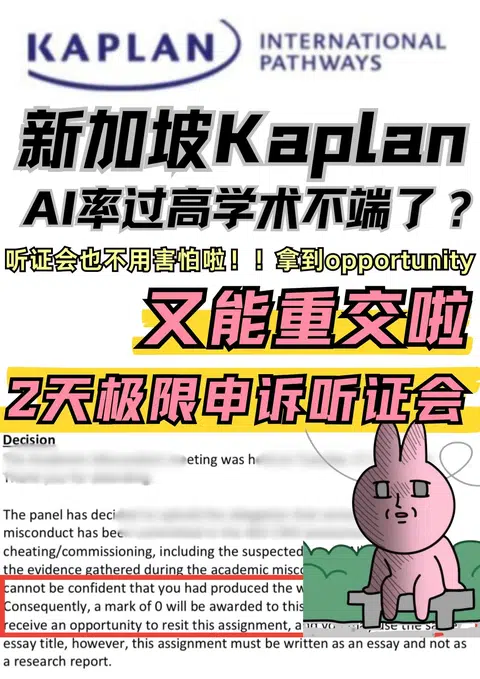 新加坡Kaplan真的是AI重灾区！听证会我能救 · 封面