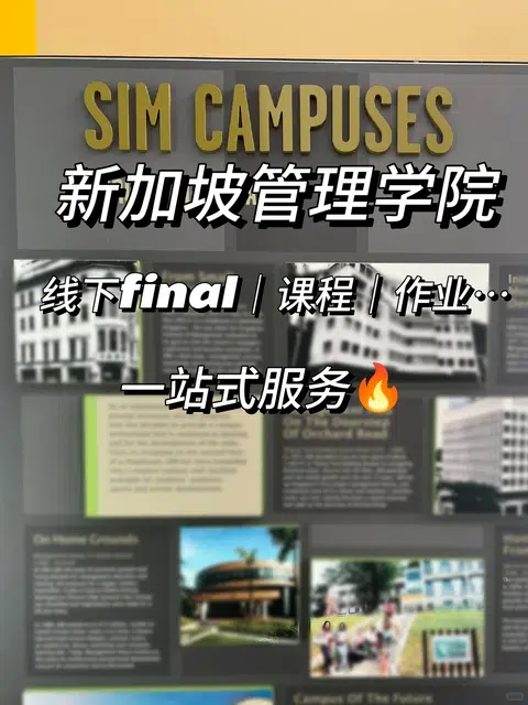 SIM 1v1留学辅导 我躺好了😲 · 内容配图 1