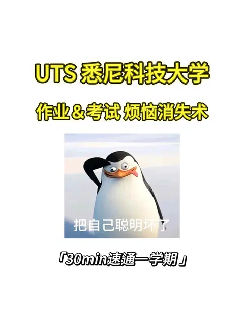UTS 悉尼科技大学一开学所有作业都吻了上来 · 内容配图 1