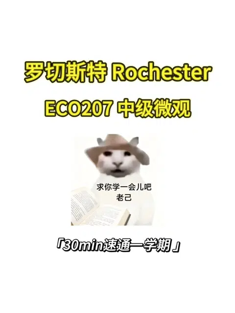 Rochester 线下final如何拿高分❓ · 内容配图 1