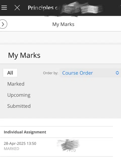 布大化学28分，remark不能硬碰评分权 · 封面