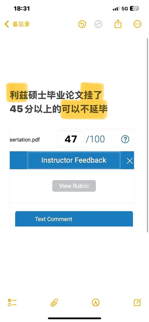利兹毕业论文47分，怎么才能在12月拿毕业证 · 封面