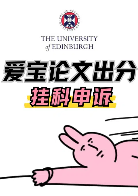 爱宝毕业论文出分没到45？没有degree咋整？ · 内容配图 1