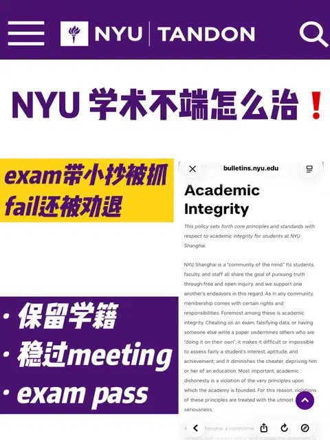 NYU考试被抓学术不端 meeting保留学籍撤控！ · 封面