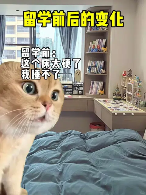 留学前后变化太大了‼️建议留学…. · 内容配图 1