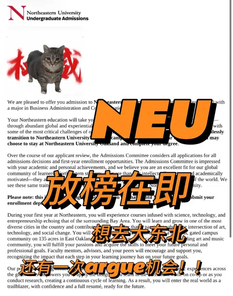 neu放榜，拒信不是终点，放弃才是 · 封面