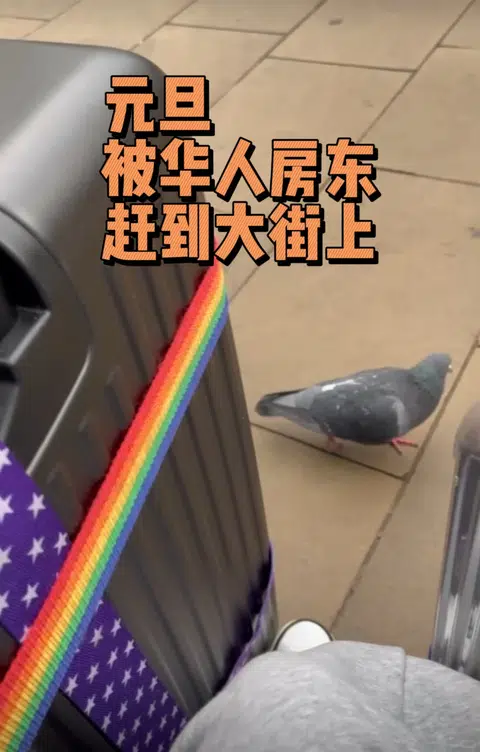伦敦房东赶人还扣钱，合同会说话 · 内容配图 1