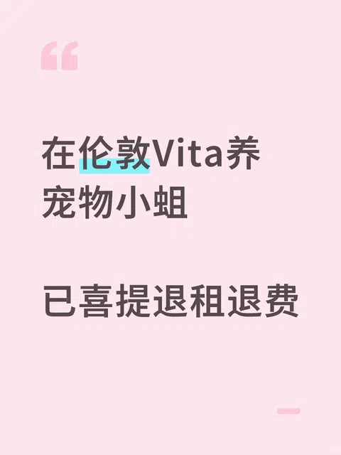 放在小说里是会被质疑离谱的程度，一位学生在vita刚入住一周，在房间里发现了一群活着的苍蝇幼崽（图已厚马… · 封面