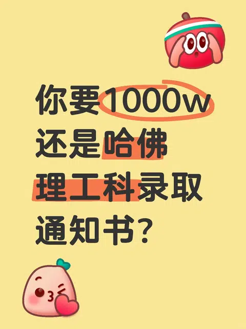 1000w安全垫，撞上哈佛入场券 · 封面
