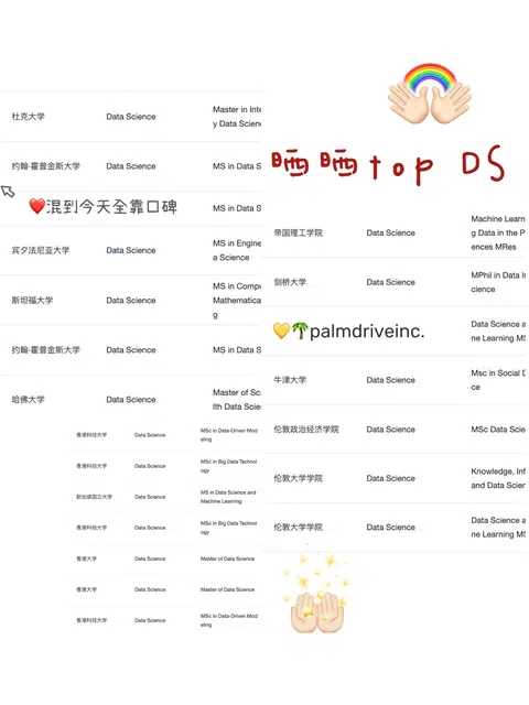 DS申请输在材料技术含量不够 · 内容配图 1