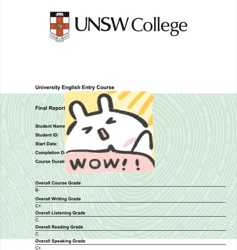 UNSW语言班B-，重读账单太快 · 封面