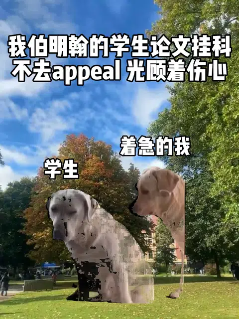 伯明翰论文挂科的宝先别悲伤了！！快去appeal · 封面